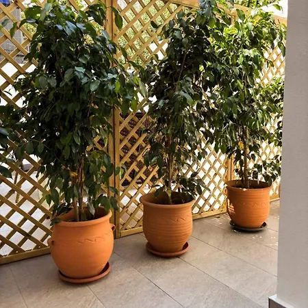 Διαμέρισμα Maison De Luxe *